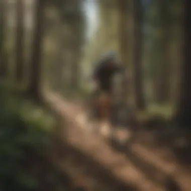 Thrilling Boise Mountain Bike Trail