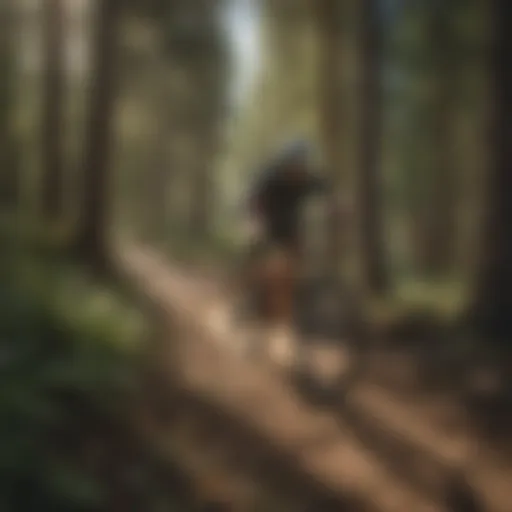 Thrilling Boise Mountain Bike Trail