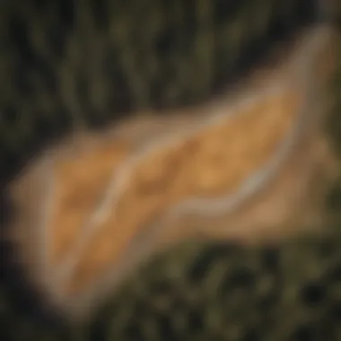 Map highlighting boondocking locations in Yellowstone