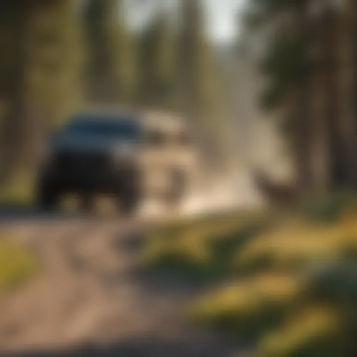 Wildlife encounter while boondocking in Yellowstone