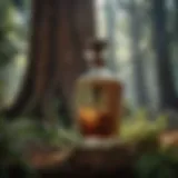 Botanical Elixir from the Ancient Redwood Tree