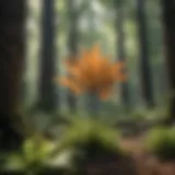 Botanical Evolution - From Weed to Tree