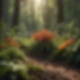Botanical Formula Unveiled