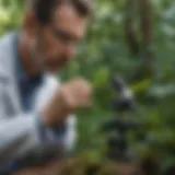 Botanist examining plant under microscope