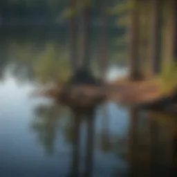 Majestic Pine Trees Reflecting in Crystal Clear Boundary Waters Lake