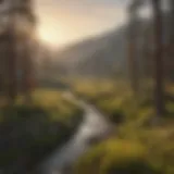 A tranquil sunset over California's mountainous landscape, ideal for bowhunting.