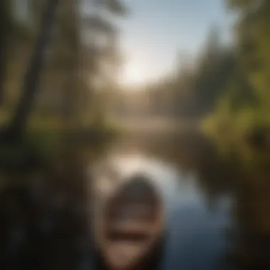 Serene Canoeing Experience in BWCA Day Trip