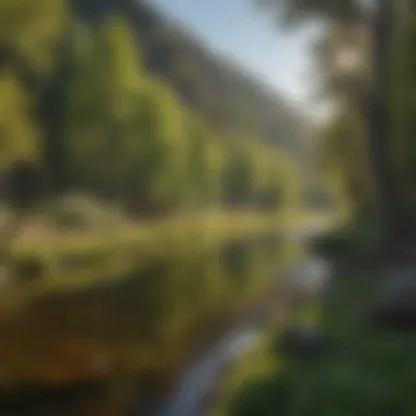 Diverse Wildlife Habitat Along Cache Creek Diverse Wildlife Habitat Along Cache Creek