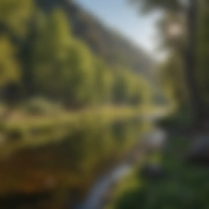 Diverse Wildlife Habitat Along Cache Creek Diverse Wildlife Habitat Along Cache Creek