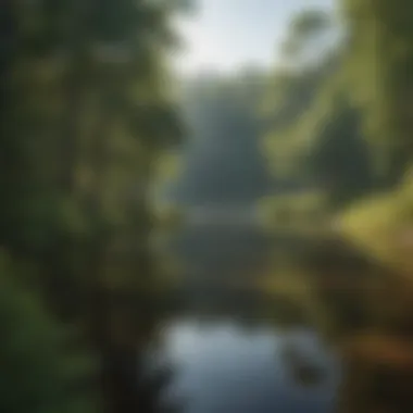 A Glimpse of Cagle Recreation Area Serene landscape of Cagle Recreation Area showcasing lush greenery and a tranquil lake.