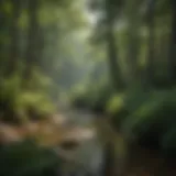 Lush greenery of Camp Creek State Park