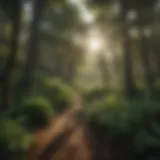 A panoramic view of Camp Morrison surrounded by lush greenery