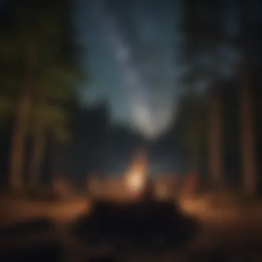 Campfire Gathering Under the Starlit Sky at YMCA Camp Mill Hollow