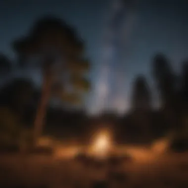 Campfire under Starlit Sky in Big Sur