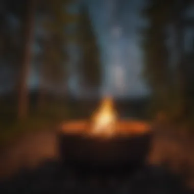 Campfire under Starlit Sky