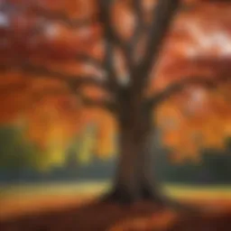 Canadian Maple Tree in Autumn