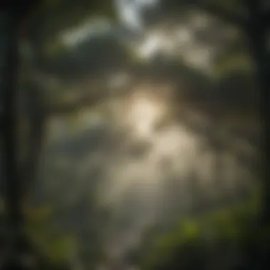 Canopy-Ecological-Interconnection