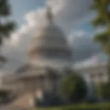 The Capitol Building in Washington D.C.