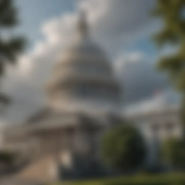 The Capitol Building in Washington D.C.