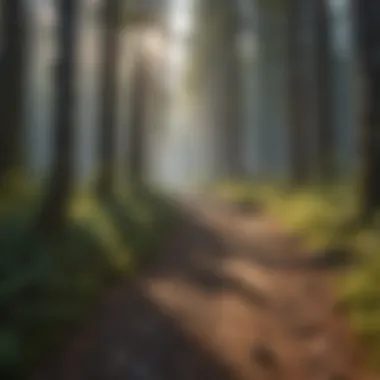 Innovative Tools for Calculating Carbon Footprints Carbon Footprint Calculation Software