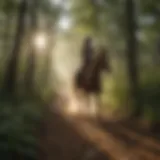 Rider galloping on a lush Carolina trail