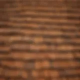 Cedar Shingle Stain Application
