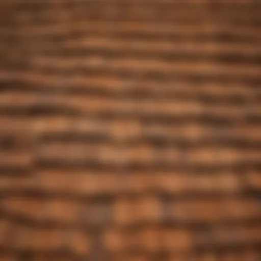 Cedar Shingle Stain Application