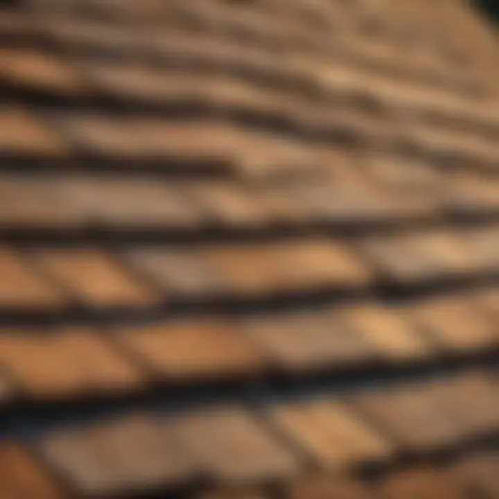 Cedar Shingles Cleaning