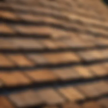 Maintaining Cedar Shingles Cleanliness Cedar Shingles Cleaning