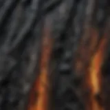 Charred Wood Texture Inspired by Shou Sugi Ban