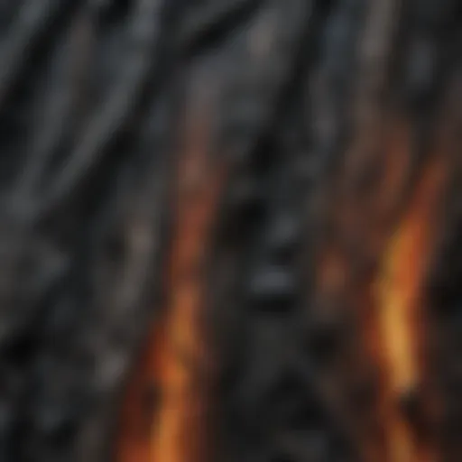 Charred Wood Texture Inspired by Shou Sugi Ban