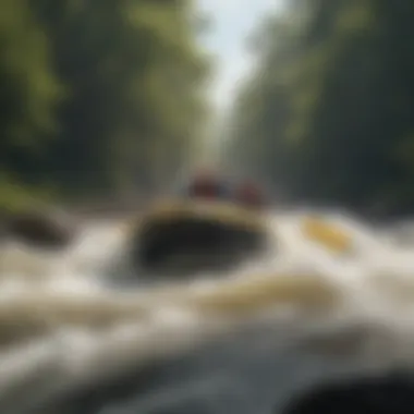 Adrenaline Rush in Nature's Playground