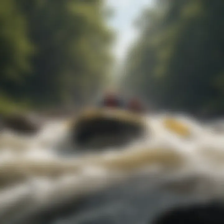 Adrenaline Rush in Nature's Playground