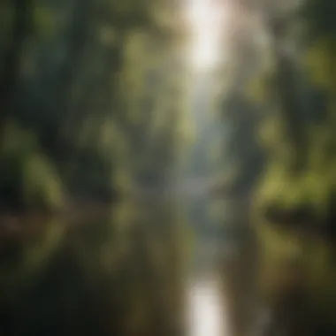 Ecological Richness of the River Ecological diversity along the Chattahoochee River, showcasing flora and fauna