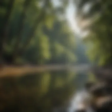 Serenity of the Chattahoochee River A serene view of the Chattahoochee River with lush greenery surrounding the banks