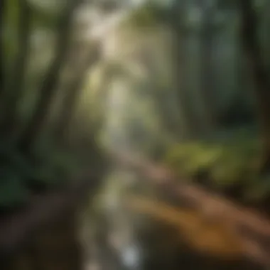 Cherokee Heritage Trail Explorations Cherokee Heritage Trail Explorations