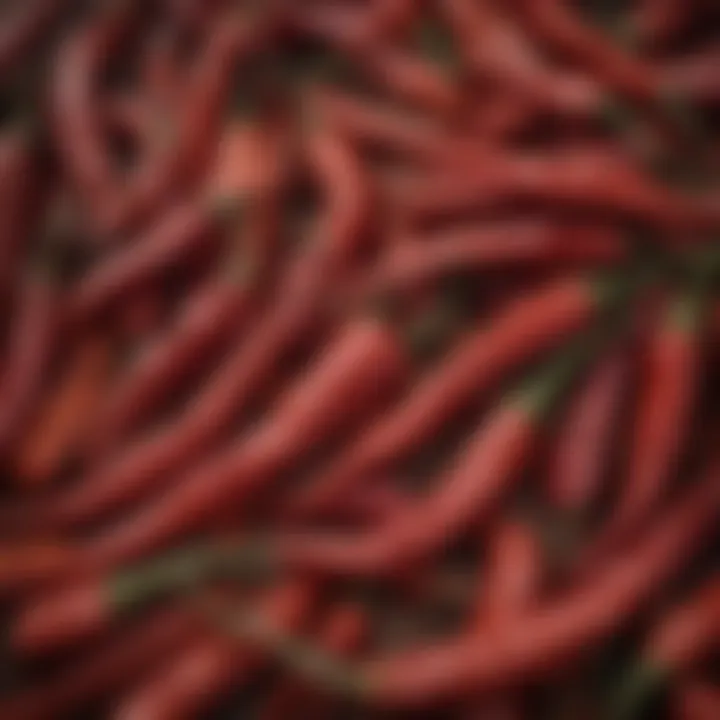 Vibrant red chili peppers on display at a spice market