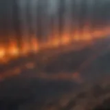 Aerial view of a forest engulfed in flames during a wildfire
