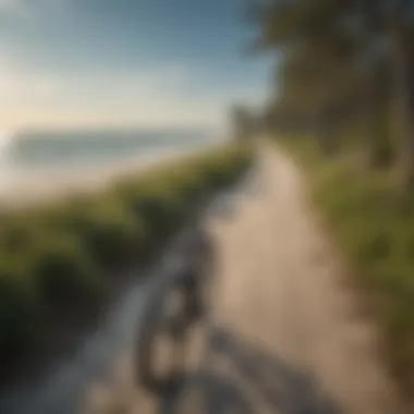 Breathtaking view of Clearwater Beach coastline from bike trail