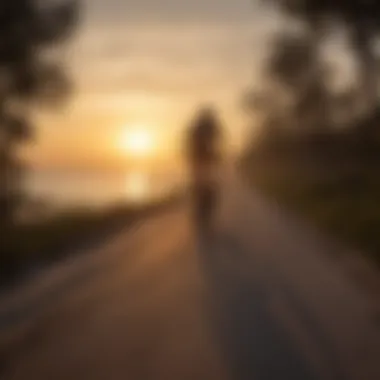 Sunset silhouette of a cyclist on Clearwater Beach trail