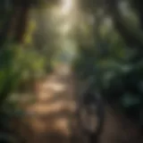 Bike trail winding through lush tropical foliage