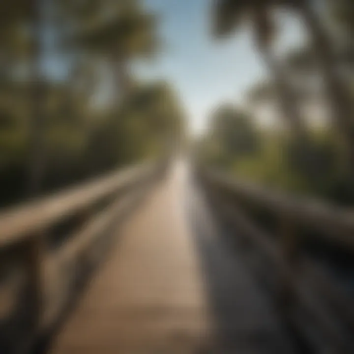 Cyclist crossing a wooden bridge on the Clearwater Beach trail