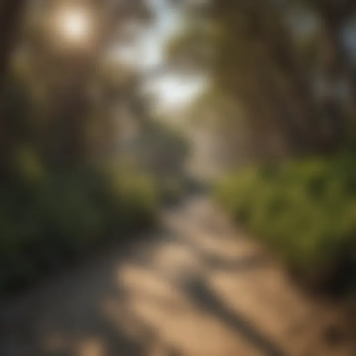 Capistrano Beach Coastal Trail