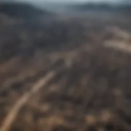 Aerial view of the Colorado Springs fire aftermath showing charred landscapes