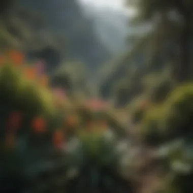 Colorful Array of Exotic Flora on Mountain Slope Colorful array of exotic flora on mountain slope