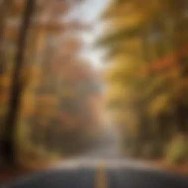 Colorful autumn foliage lining the scenic highway in Tennessee