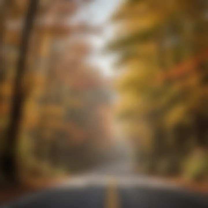 Colorful autumn foliage lining the scenic highway in Tennessee