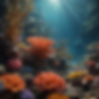 Colorful Coral Reef Underwater Ecosystem