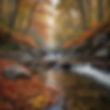 Colorful Fall Foliage in the Smoky Mountains