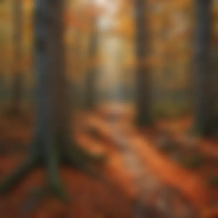 Autumn Palette: Forest Floor Symphony Colorful Fall Leaves Carpeting the Forest Floor in the USA